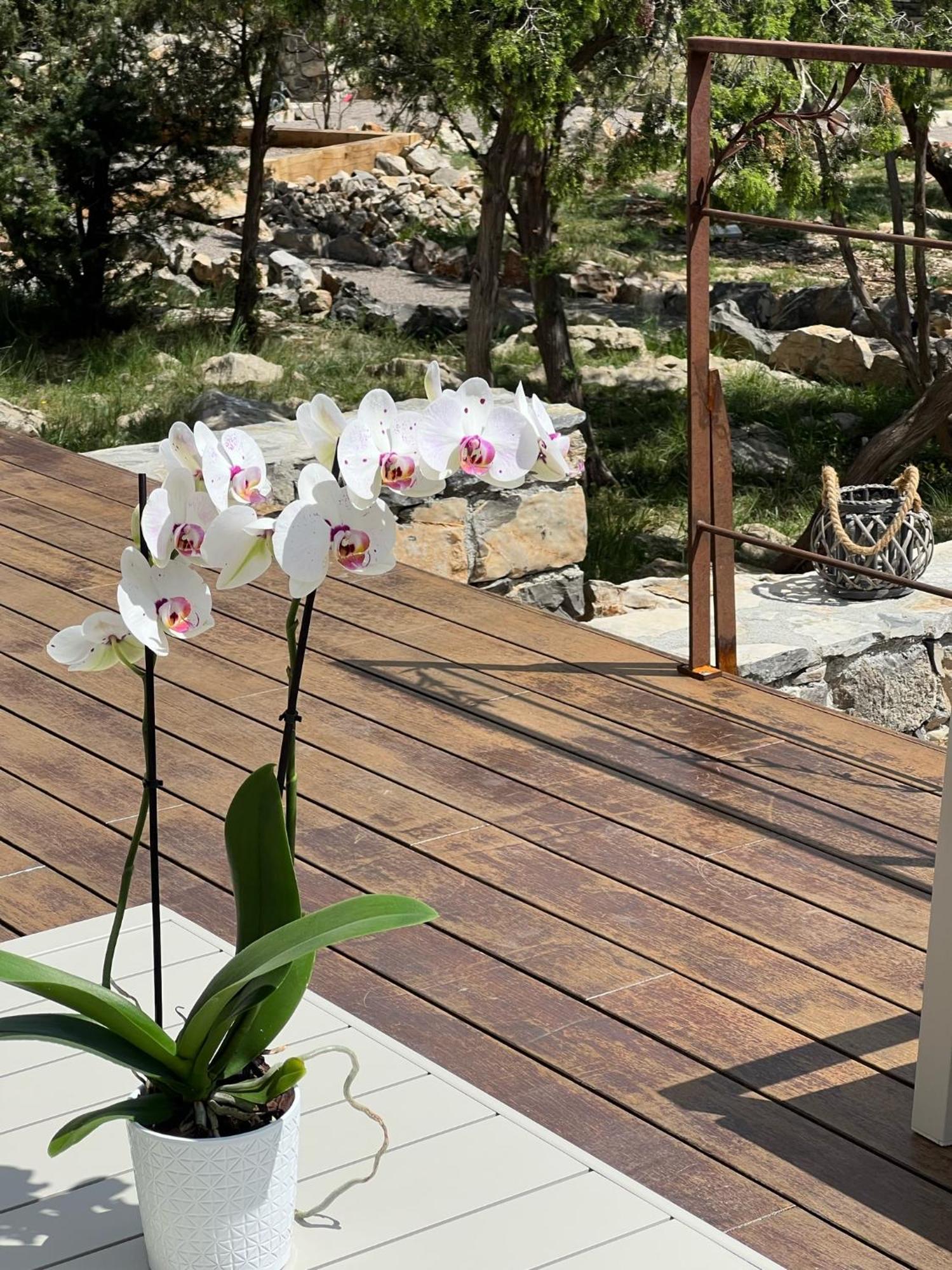 Mas Orchis Apartment Cazevieille Екстериор снимка